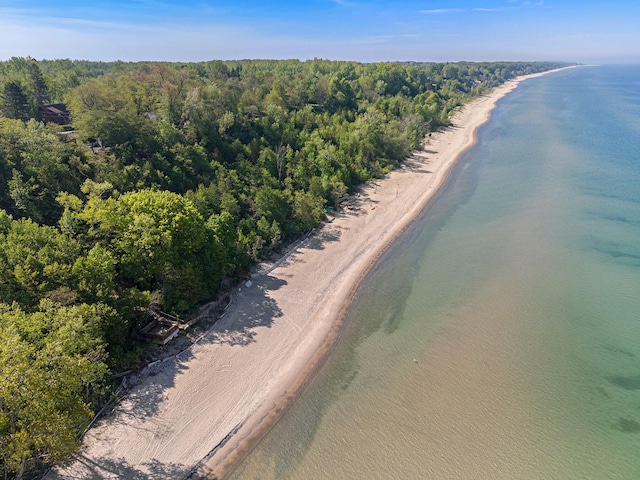 507 A Ave, South Haven, MI 49090 - bird's eye view of a large body of water and a heavily wooded area