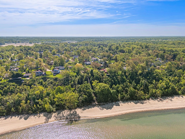 507 A Ave, South Haven, MI 49090 - aerial view of a forest