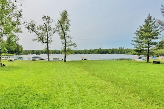 908 W Oak St, Bitely, MI 49309 - view of yard with a water view