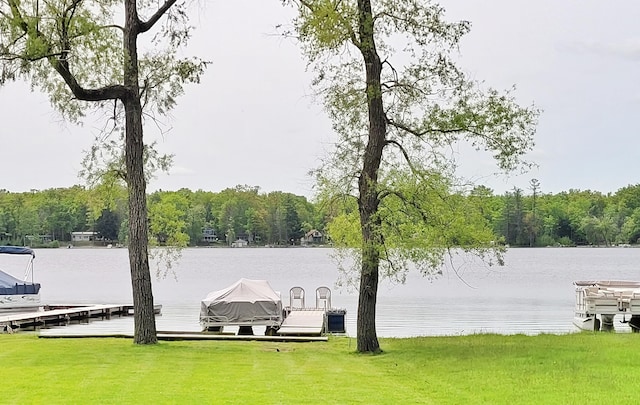 908 W Oak St, Bitely, MI 49309 - dock area featuring a water view, a view of trees, and a yard
