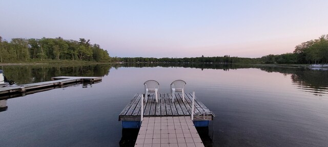 908 W Oak St, Bitely, MI 49309 - dock with a water view