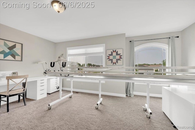 343 Hidden Riv E, Holly, MI 48442 - home office featuring carpet