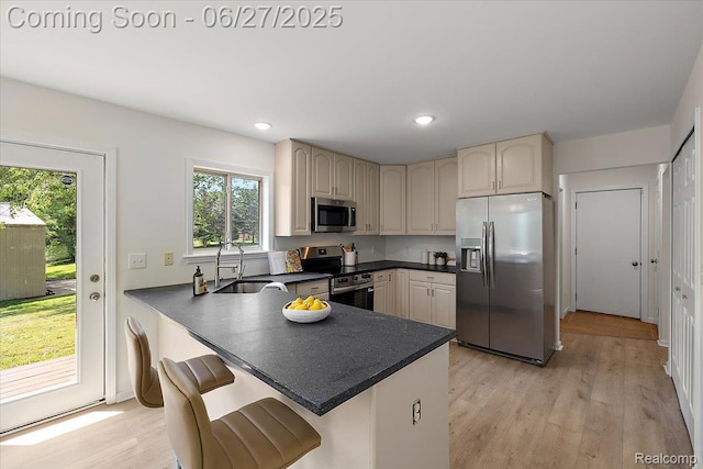 9248 Riverside Dr, Brighton, MI 48116 - kitchen with appliances with stainless steel finishes, dark countertops, light wood-style floors, healthy amount of natural light, and recessed lighting