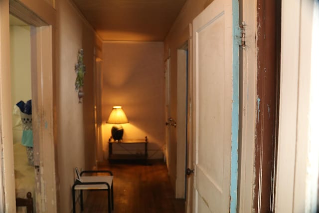 1223 Bemis St SE, Grand Rapids, MI 49506 - view of hallway