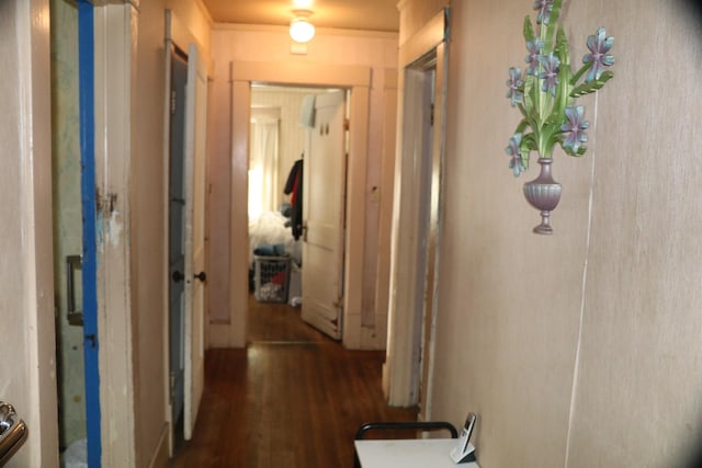 1223 Bemis St SE, Grand Rapids, MI 49506 - corridor with wood-type flooring