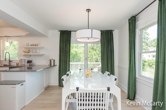 1731 Edgewood Ave SE, Grand Rapids, MI 49506 - dining room featuring plenty of natural light and light wood finished floors