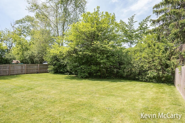 1731 Edgewood Ave SE, Grand Rapids, MI 49506 - view of yard