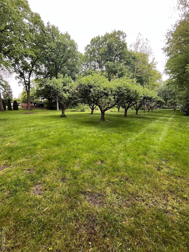 0 Camellia Ln, Clinton Township, MI 48036 - photo 5
