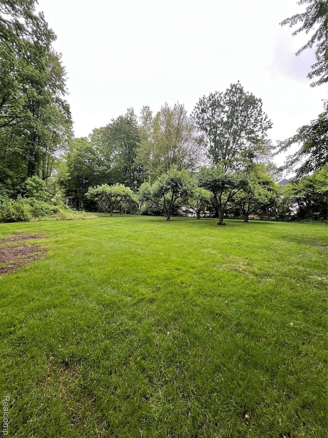 0 Camellia Ln, Clinton Township, MI 48036 - photo 4