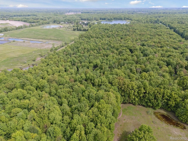 4828 Rathbun Rd, Birch Run, MI 48415 - aerial view of property and surrounding area with a heavily wooded area and a nearby body of water