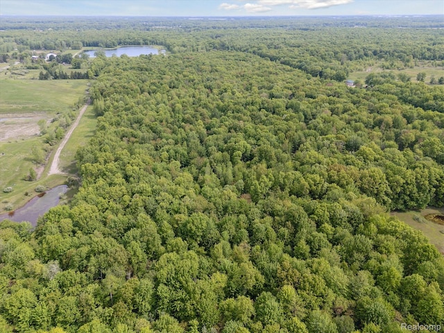 4828 Rathbun Rd, Birch Run, MI 48415 - drone / aerial view of a forest and a nearby body of water