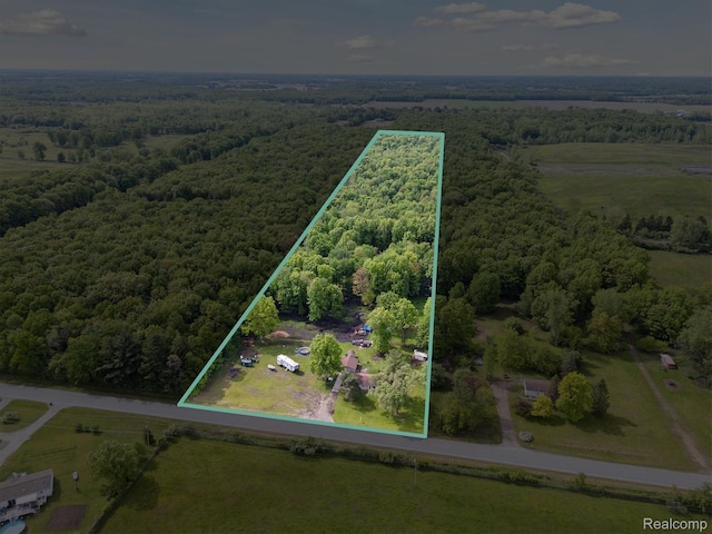 4828 Rathbun Rd, Birch Run, MI 48415 - view of property location with a heavily wooded area and property parcel outlined