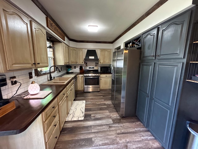 2069 Kenwood Dr, Flint, MI 48532 - kitchen featuring appliances with stainless steel finishes, a sink, premium range hood, dark wood-style floors, and backsplash