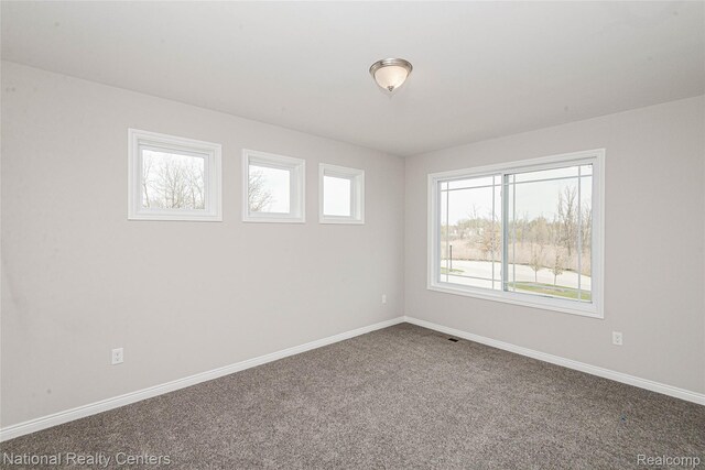 53183 Woodland Mdws, Chesterfield, MI 48047 - photo 31