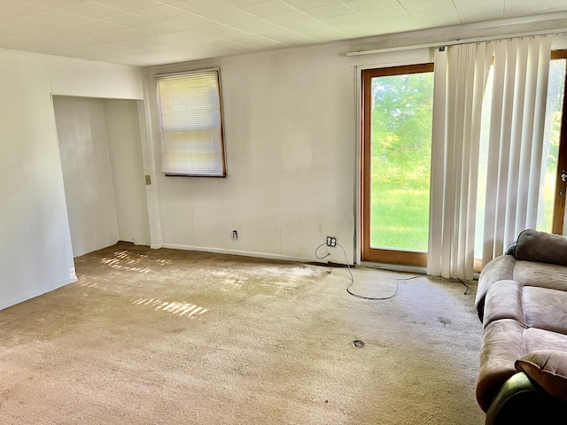 7748 N Comstock Ave, Bitely, MI 49309 - photo 6