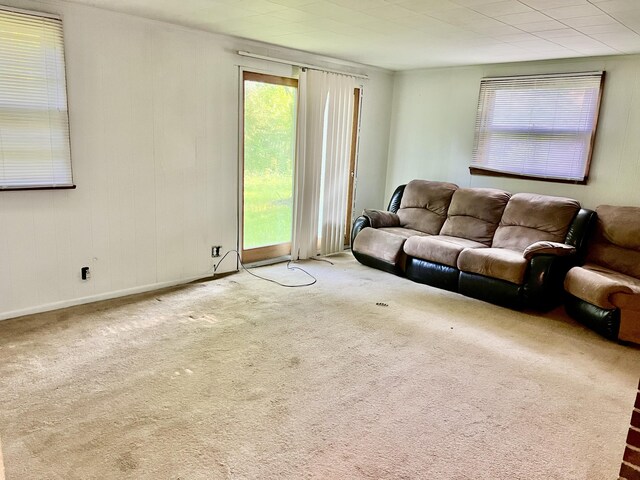 7748 N Comstock Ave, Bitely, MI 49309 - photo 5