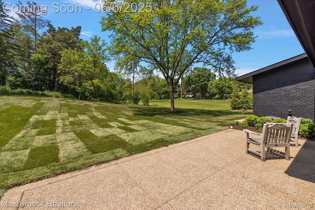 4340 Charing Cross Rd, Bloomfield Hills, MI 48304 - view of grassy yard with a patio area and view of scattered trees