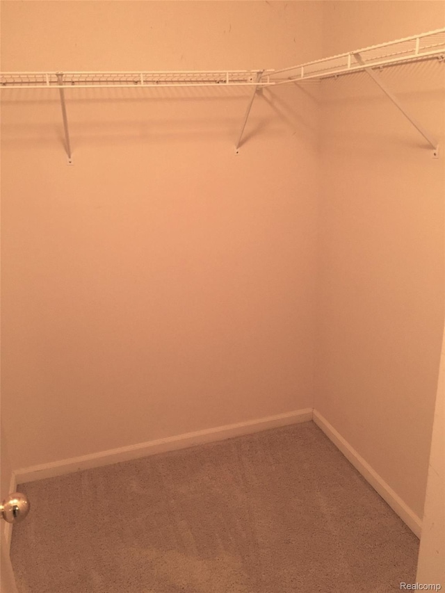 49225 W Woods Dr Unit 20, Utica, MI 48317 - walk in closet featuring carpet