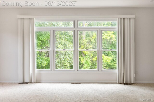 4230 Mill Lake Rd, Lake Orion, MI 48360 - unfurnished room with carpet flooring and plenty of natural light