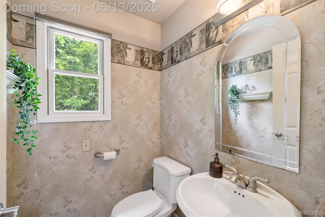 4230 Mill Lake Rd, Lake Orion, MI 48360 - bathroom with a sink and toilet