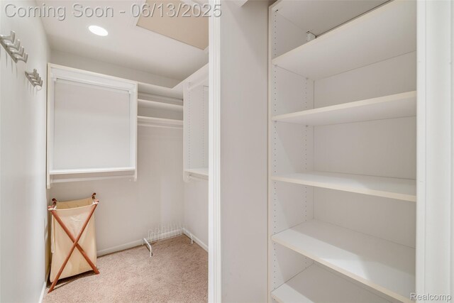4230 Mill Lake Rd, Lake Orion, MI 48360 - walk in closet featuring carpet flooring