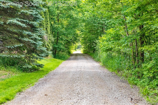 4230 Mill Lake Rd, Lake Orion, MI 48360 - view of dirt / gravel road with a view of trees