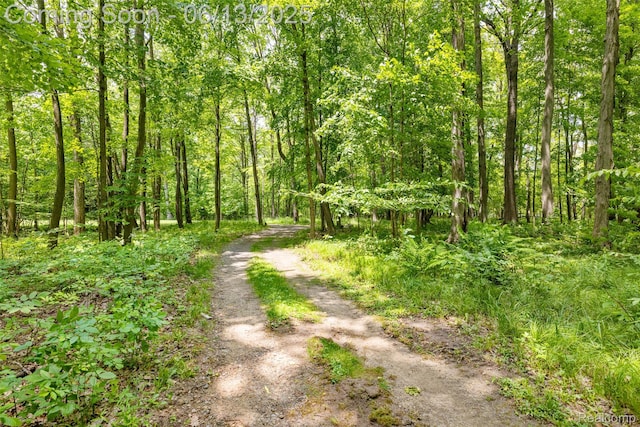 4230 Mill Lake Rd, Lake Orion, MI 48360 - view of dirt / gravel road featuring a wooded view