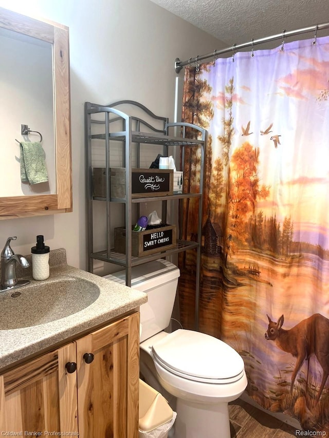 4264 W Benjamin Rd, Perry, MI 48872 - bathroom featuring toilet, vanity, a textured ceiling, a shower with shower curtain, and wood finished floors