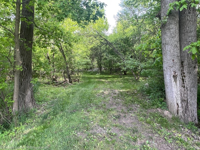4264 W Benjamin Rd, Perry, MI 48872 - view of tree filled area
