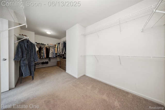 3788 High Grove Way, Lake Orion, MI 48360 - spacious closet with carpet