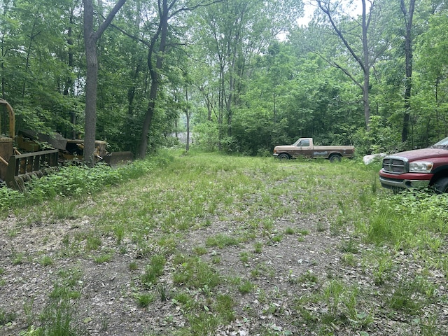 342 Grand St, Michigan Center, MI 49254 - view of yard featuring a wooded view