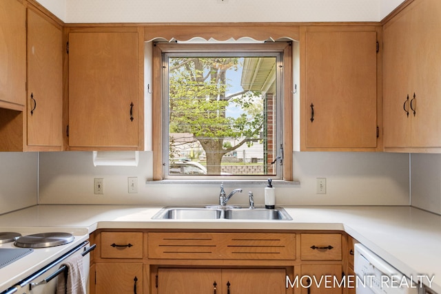 1001 Cricklewood St SW, Wyoming, MI 49509 - kitchen featuring a sink, light countertops, and dishwasher