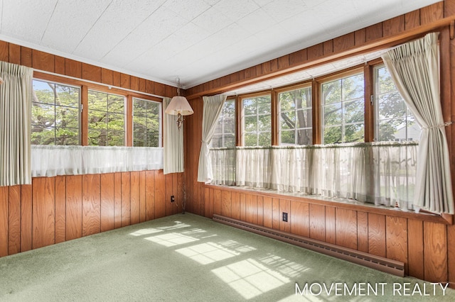 1001 Cricklewood St SW, Wyoming, MI 49509 - unfurnished sunroom featuring a baseboard heating unit, healthy amount of natural light, carpet, and wooden walls