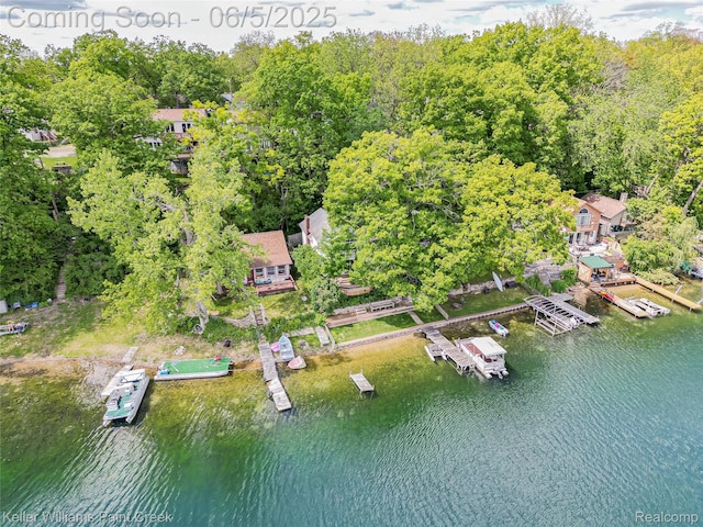 227 Ora Rd, Oxford, MI 48371 - bird's eye view of a large body of water and a forest