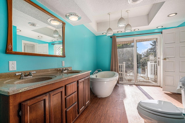 19146 Fairchild Rd, Constantine, MI 49042 - full bathroom featuring a textured ceiling, a freestanding bath, wood finished floors, double vanity, and a tray ceiling