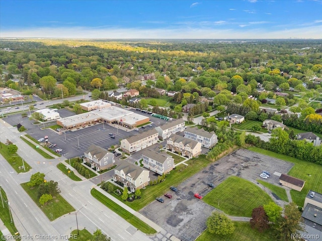 4953 Treeside Ln, Troy, MI 48098 - bird's eye view