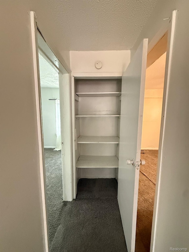 17469 Goddard St, Detroit, MI 48212 - view of closet