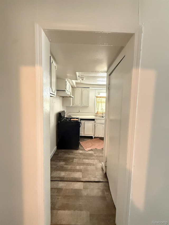 17469 Goddard St, Detroit, MI 48212 - corridor featuring wood finished floors and a sink