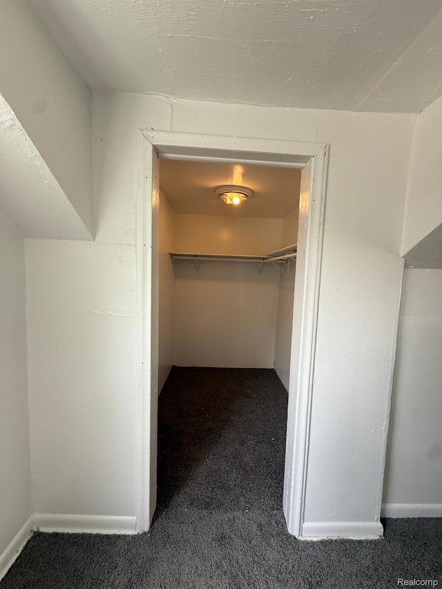 17469 Goddard St, Detroit, MI 48212 - spacious closet featuring carpet