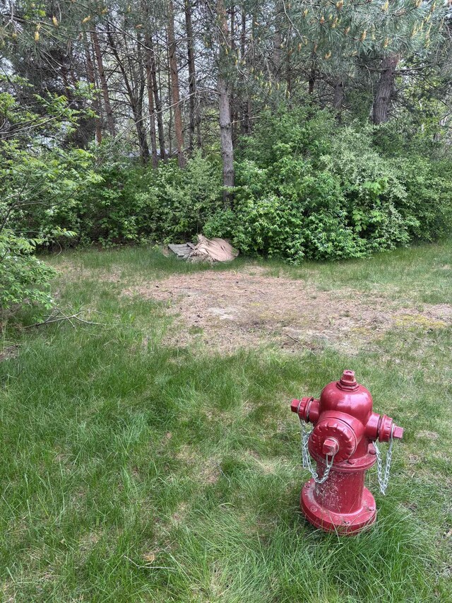 TBD Carter St, Mount Pleasant, MI 48858