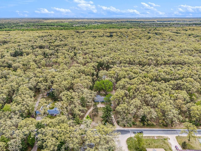 2635 E River Rd, Twin Lake, MI 49457 - bird's eye view of a forest