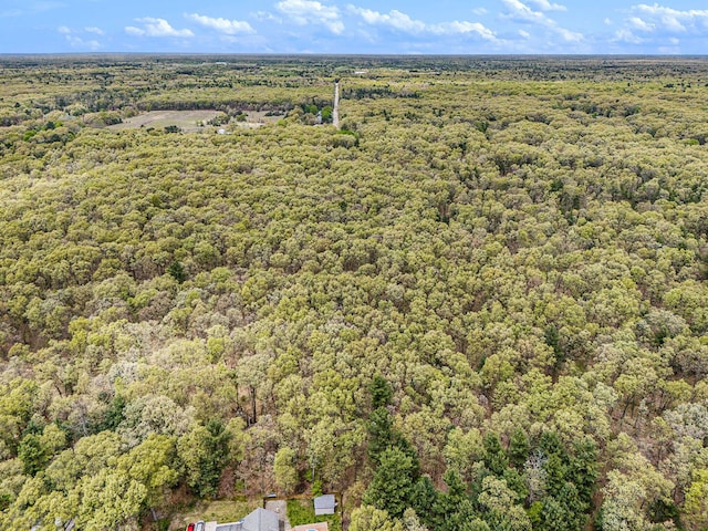 2635 E River Rd, Twin Lake, MI 49457 - aerial view of a forest