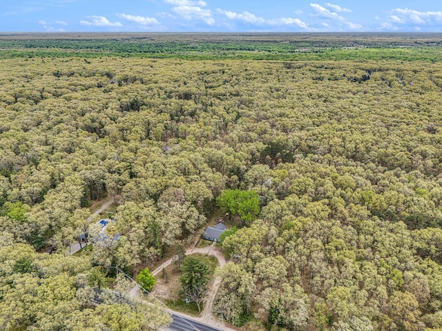 2635 E River Rd, Twin Lake, MI 49457 - bird's eye view of a forest