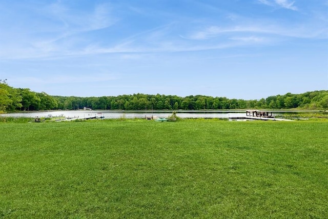 14883 Hideaway Dr, Vandalia, MI 49095 - view of green lawn with a water view and a forest view
