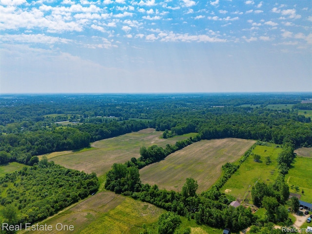 0 Jeddo Rd, Yale, MI 48097