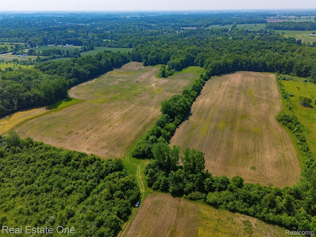 0 Jeddo Rd, Yale, MI 48097