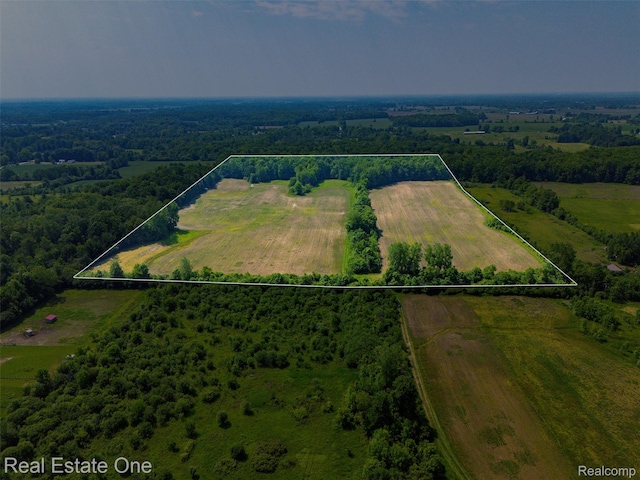 0 Jeddo Rd, Yale, MI 48097