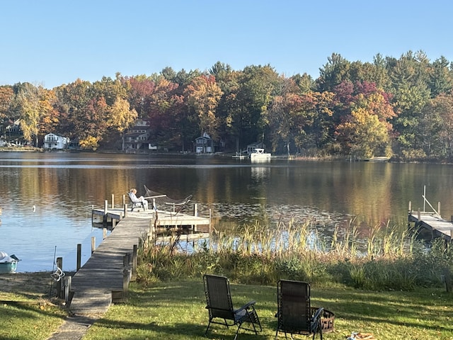 6026 Keeney Rd, Six Lakes, MI 48886 - dock area with a water view and a yard