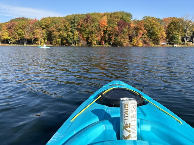 6026 Keeney Rd, Six Lakes, MI 48886 - dock area with a view of trees and a water view