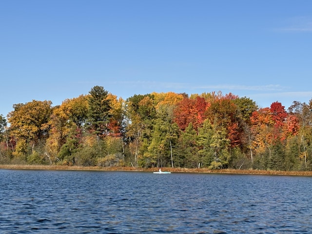 6026 Keeney Rd, Six Lakes, MI 48886 - water view with a forest